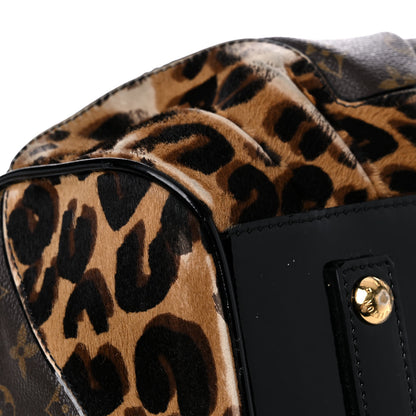 Louis Vuitton Monogram Leopard Stephen Bag 7 of 29