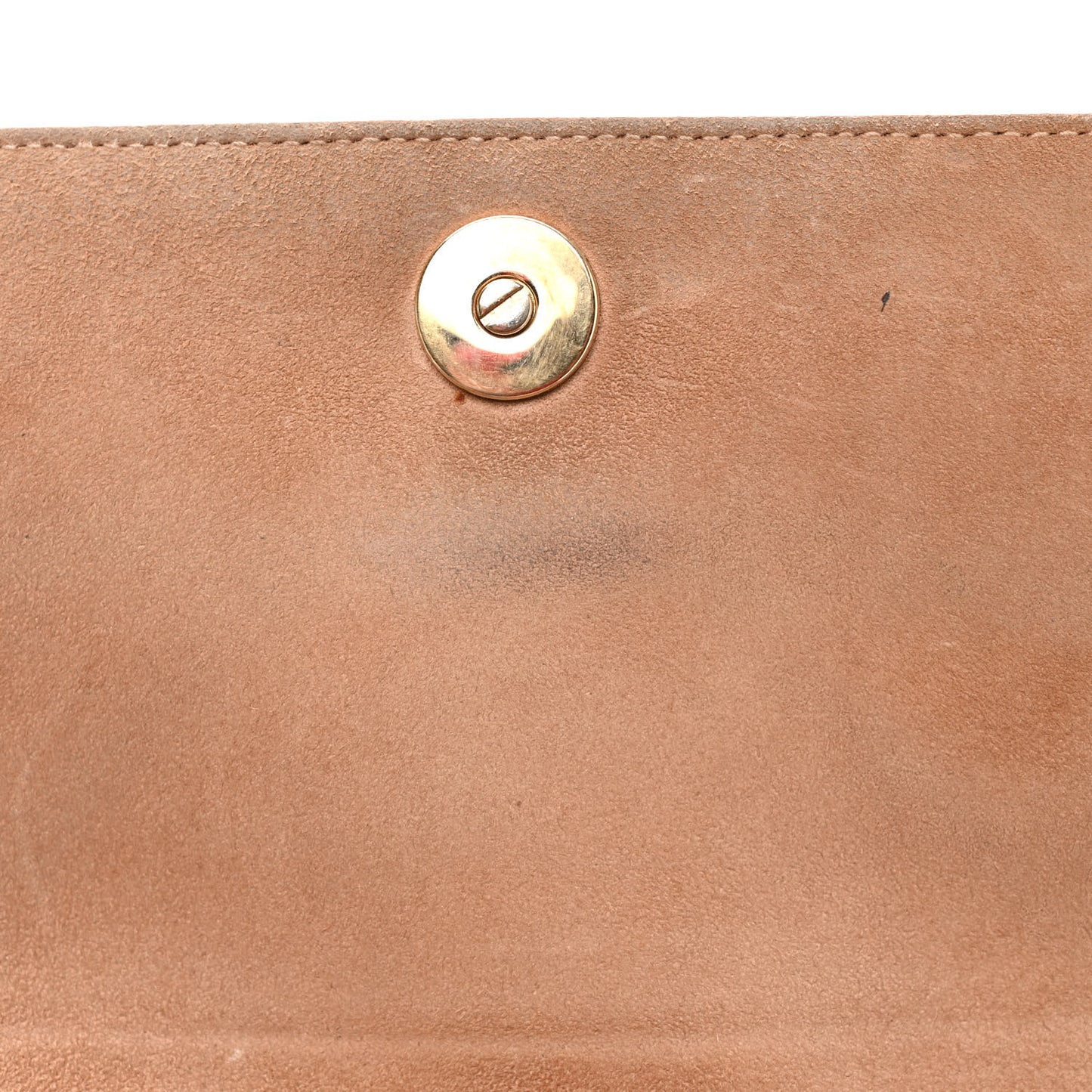 Grained Calfskin Diorama Wallet on Chain Pouch Fard
