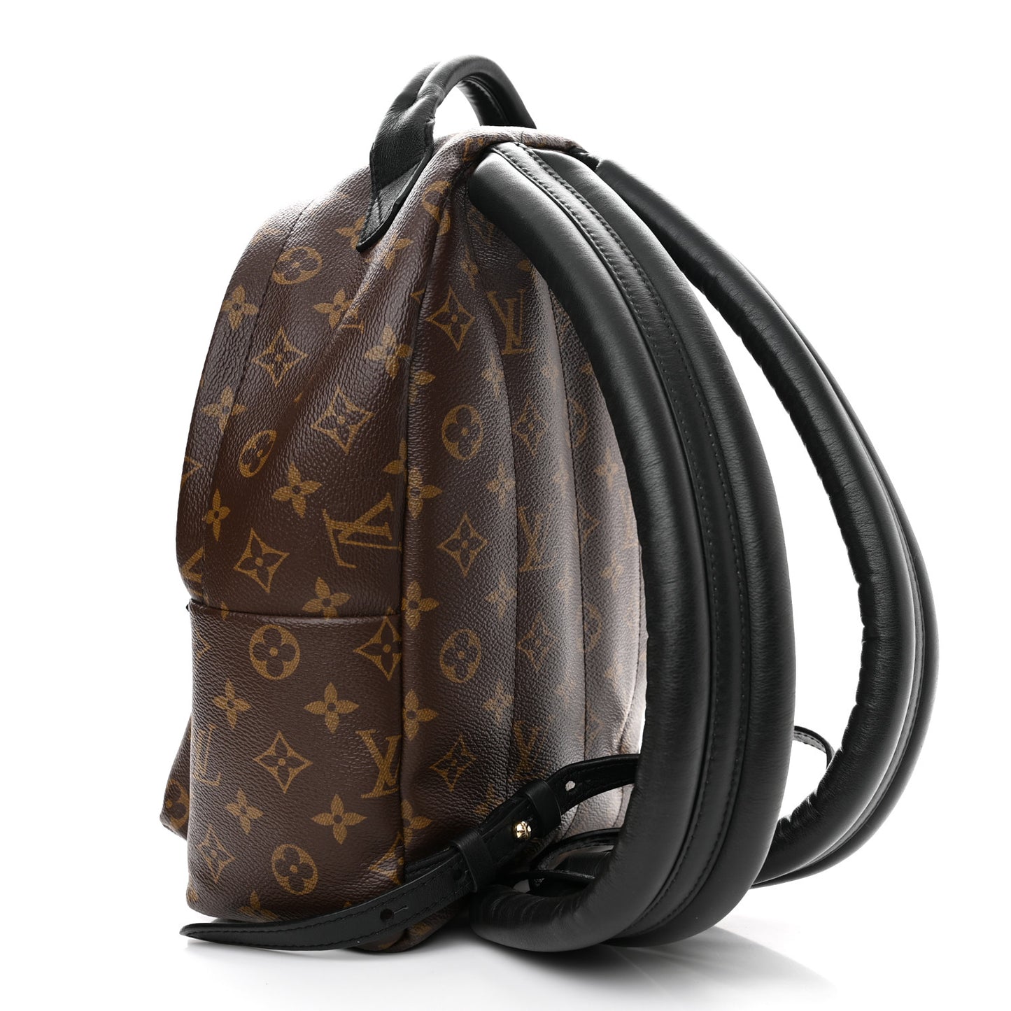 Monogram Palm Springs Backpack PM