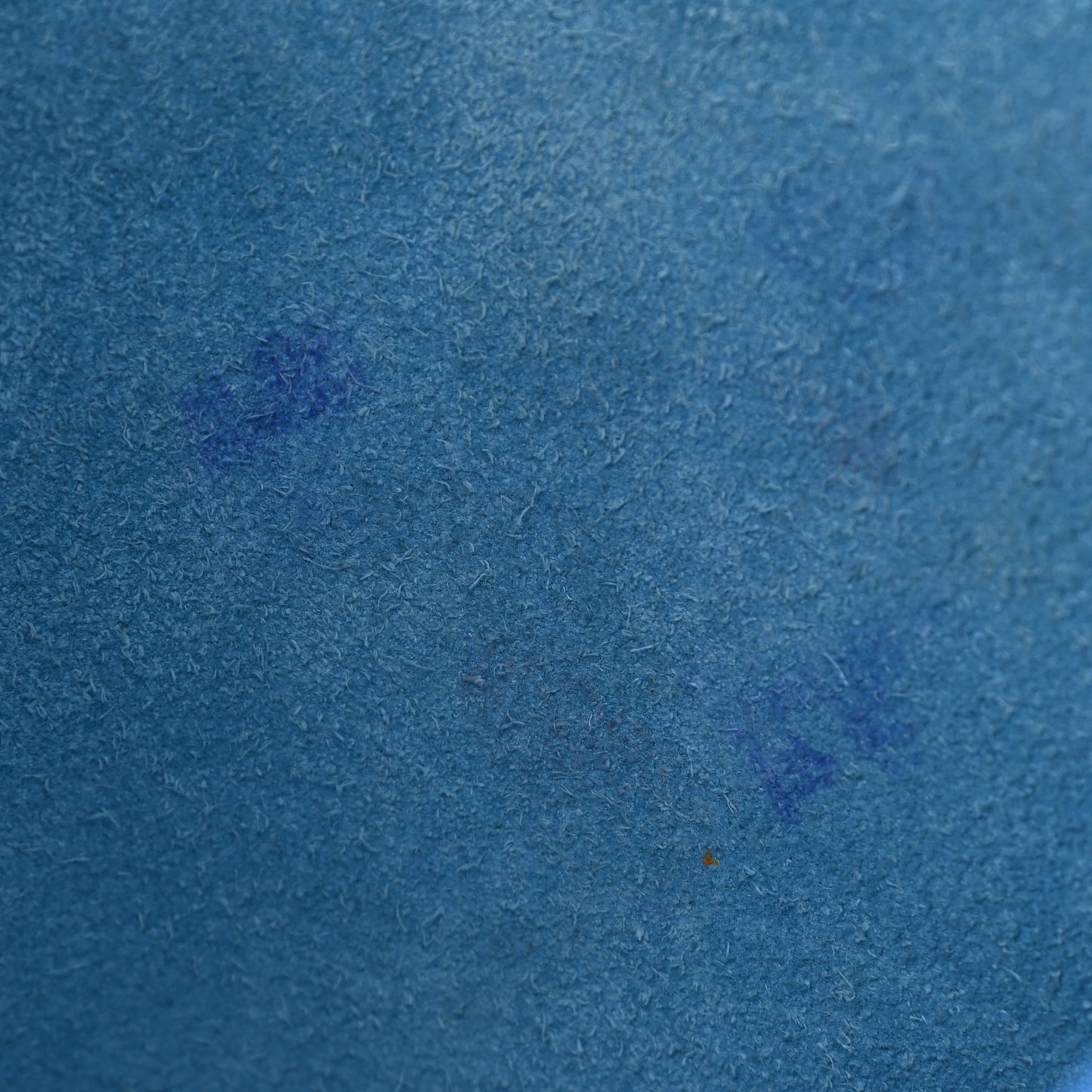 Taurillon Clemence Evelyne III PM Bleu Hydra