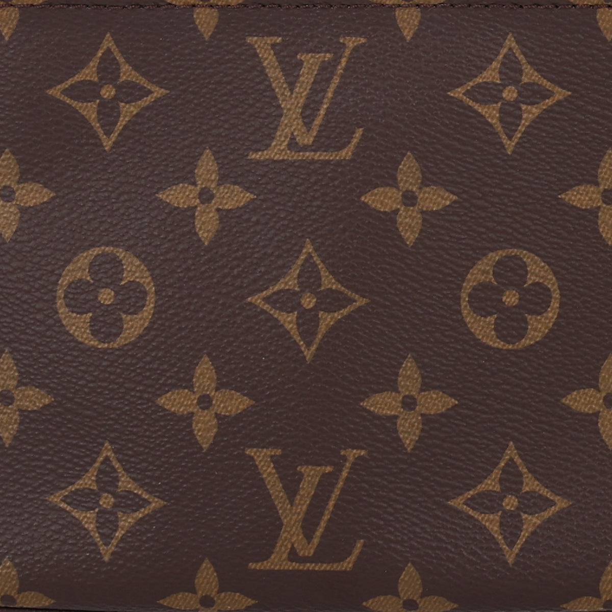 Louis Vuitton Monogram Pochette Accessories NM 8 of 10