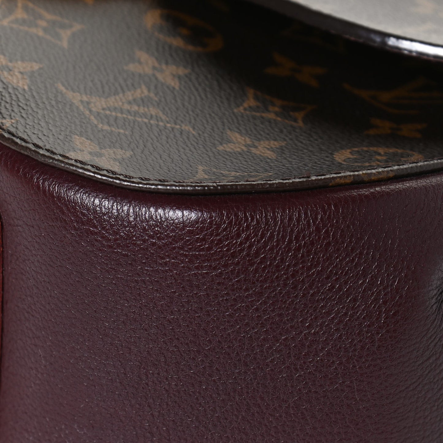Monogram Eden MM Bordeaux