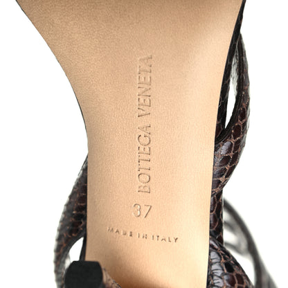 Bottega Veneta Python Printed Calfskin Spiral Sandals 37 Chocolate 7 of 8