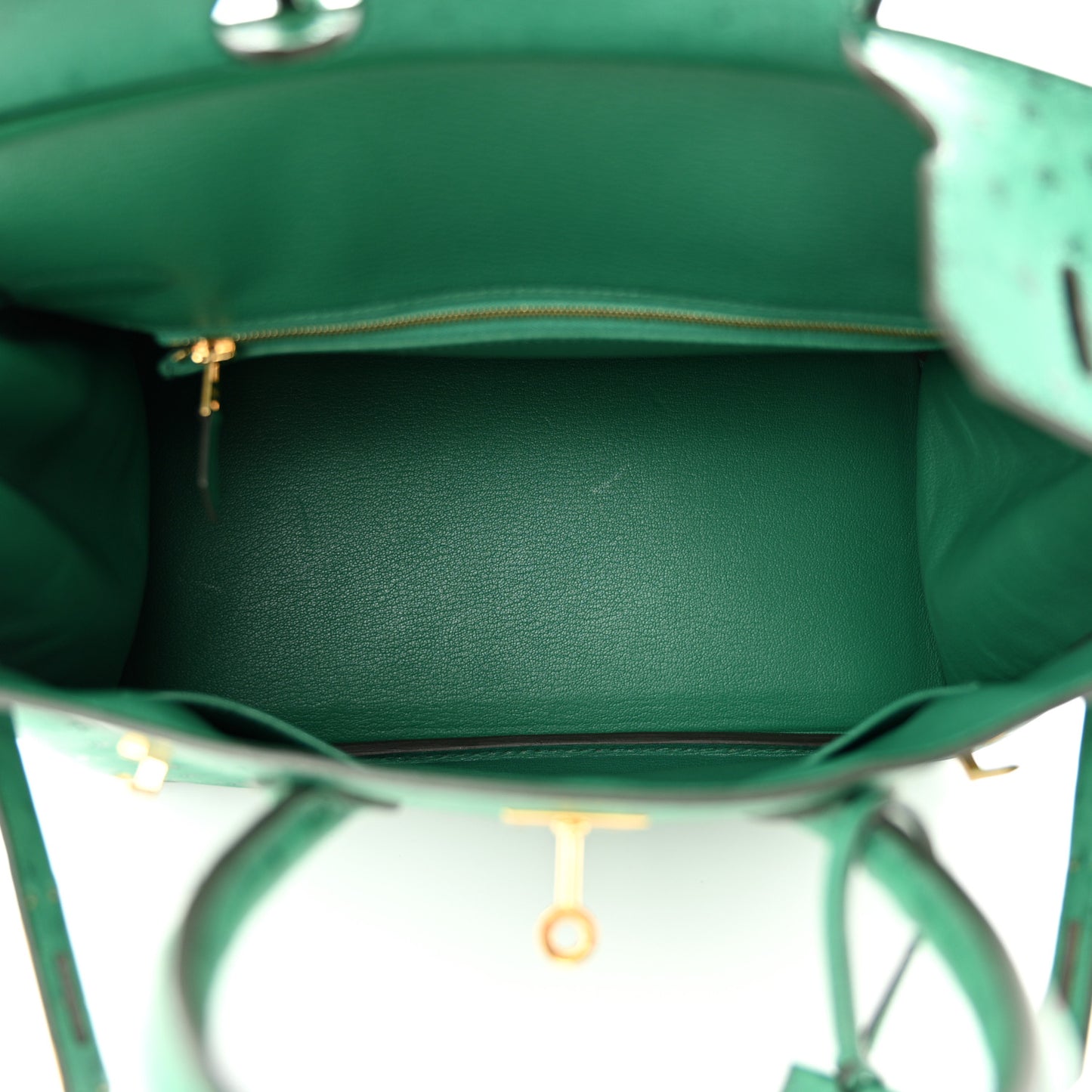 Ostrich Birkin 30 Vert Vertigo