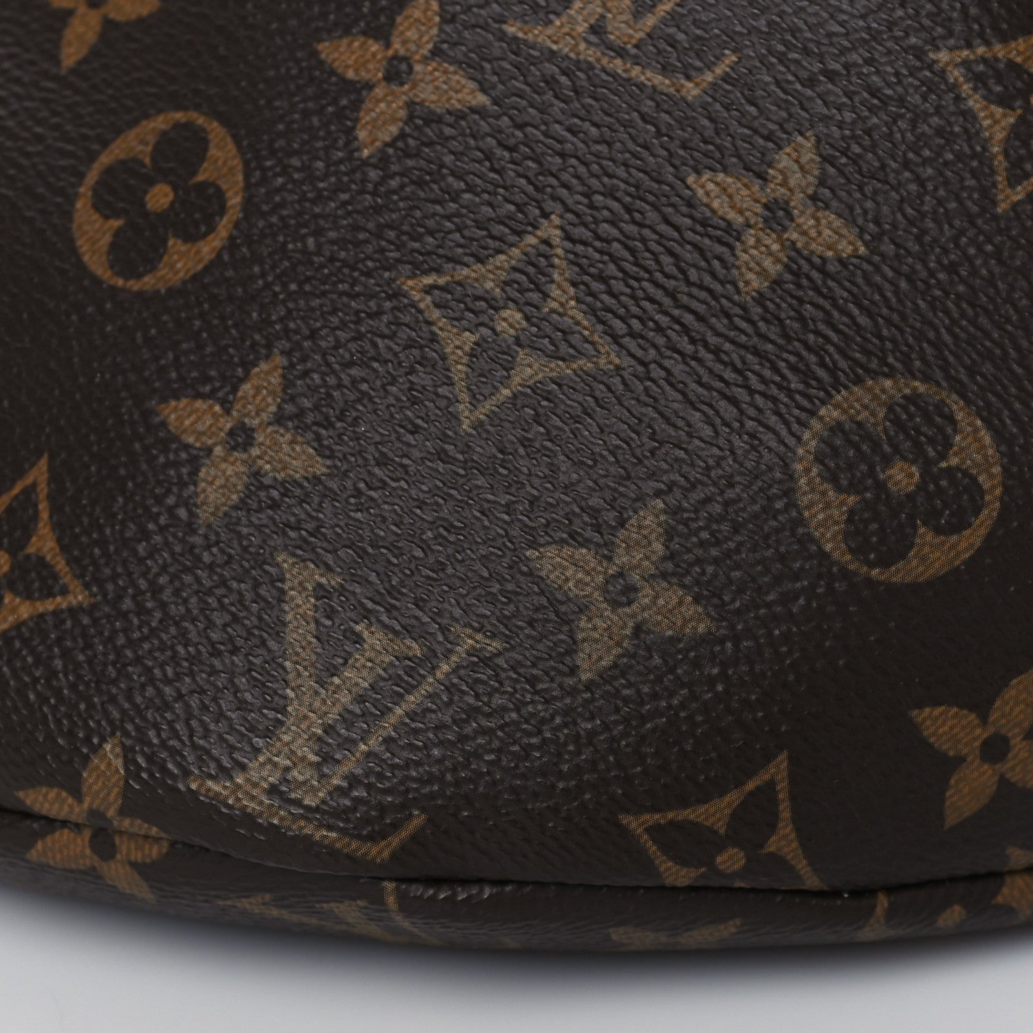 Louis Vuitton Monogram Bumbag 9 of 10