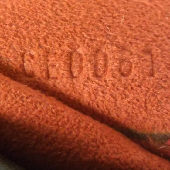 Louis Vuitton Damier Sauvage Tigre 9 of 9