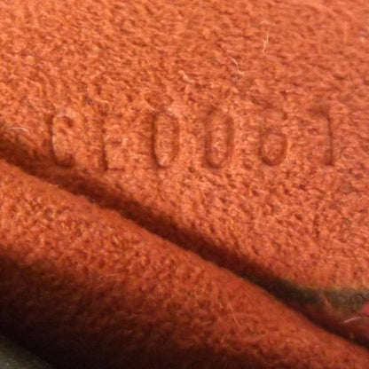 Louis Vuitton Damier Sauvage Tigre 9 of 9