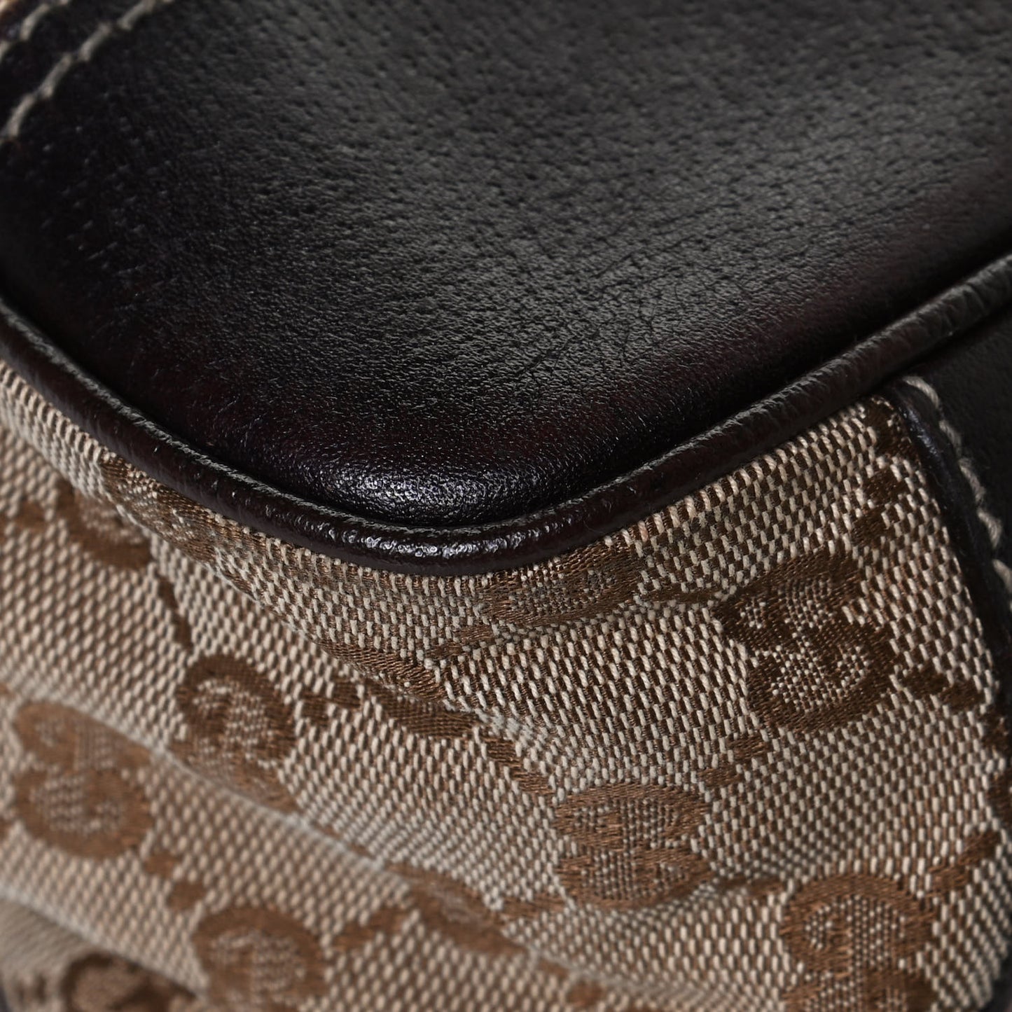 Monogram Medium Princy Tote Dark Brown