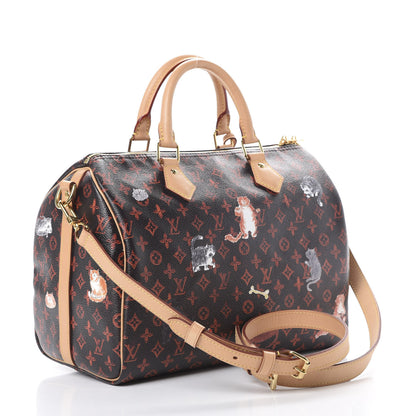Louis Vuitton Catogram Speedy Bandouliere 30 Marron 2 of 10