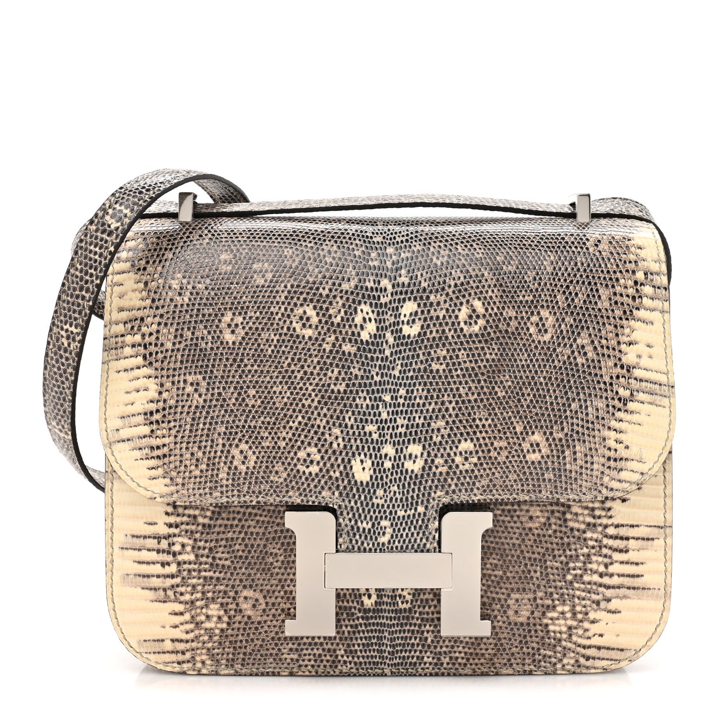 Lizard Constance 18 Ombre