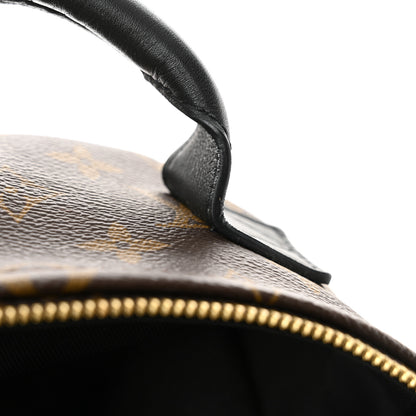 Louis Vuitton Monogram Palm Springs Backpack PM 12 of 14