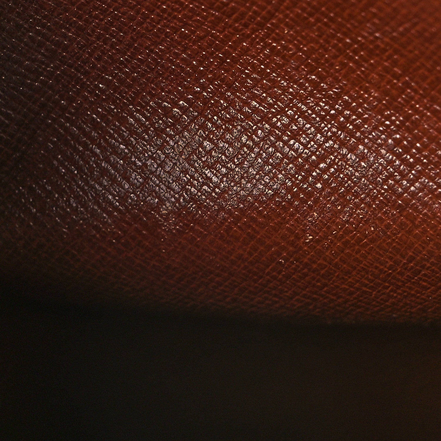 Louis Vuitton Monogram Amazone PM 12 of 13