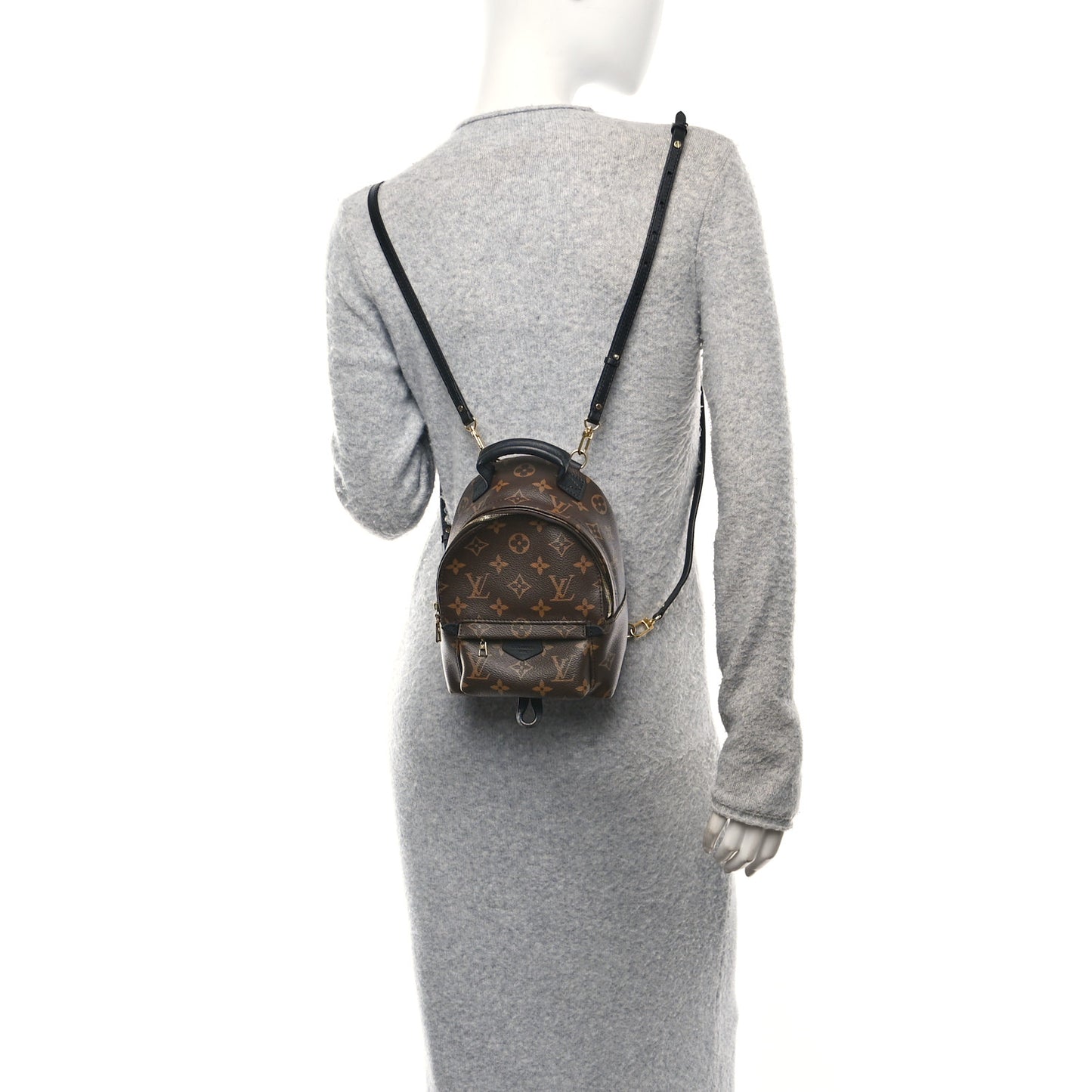 Monogram Palm Springs Backpack Mini