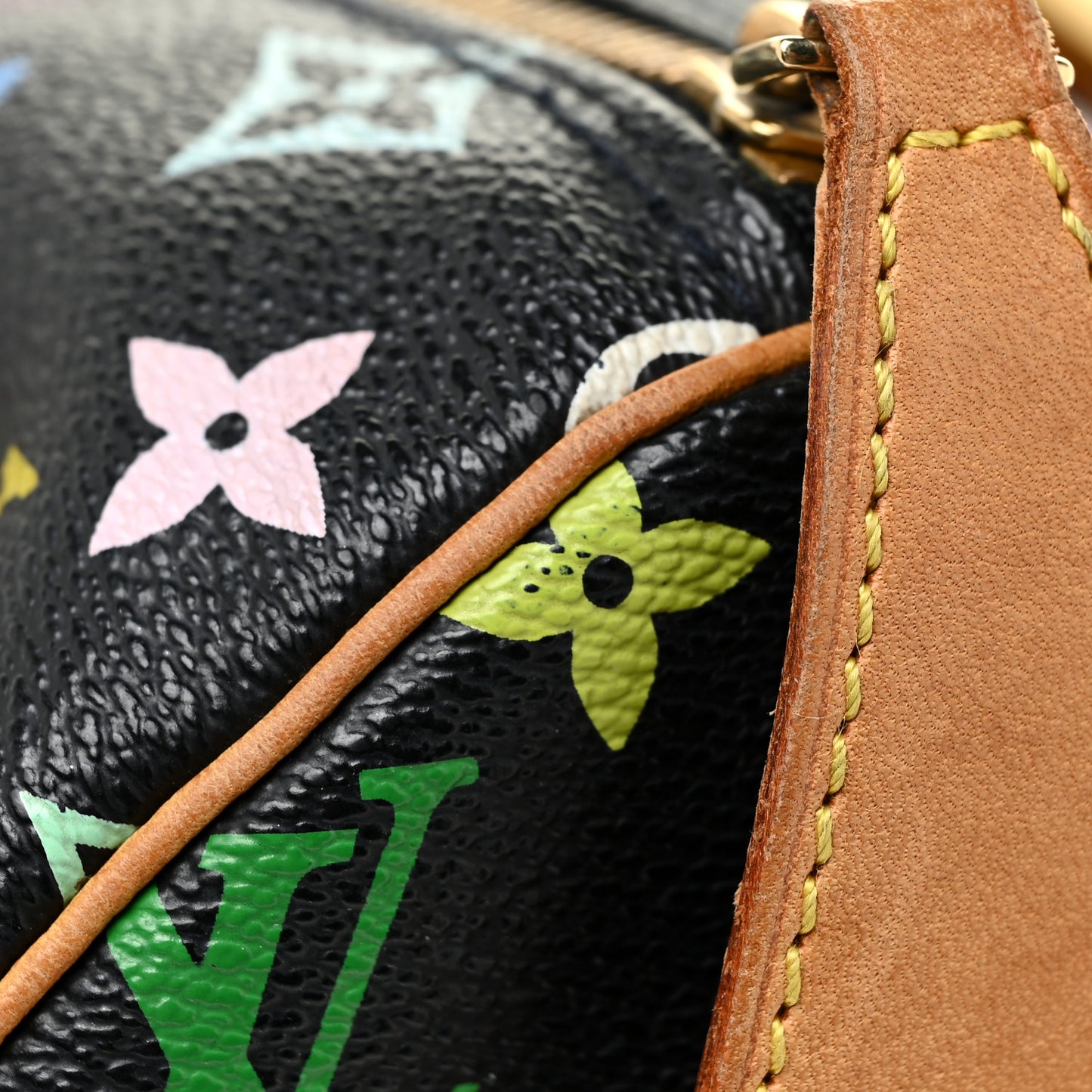 Monogram Multicolor Speedy 30 Black
