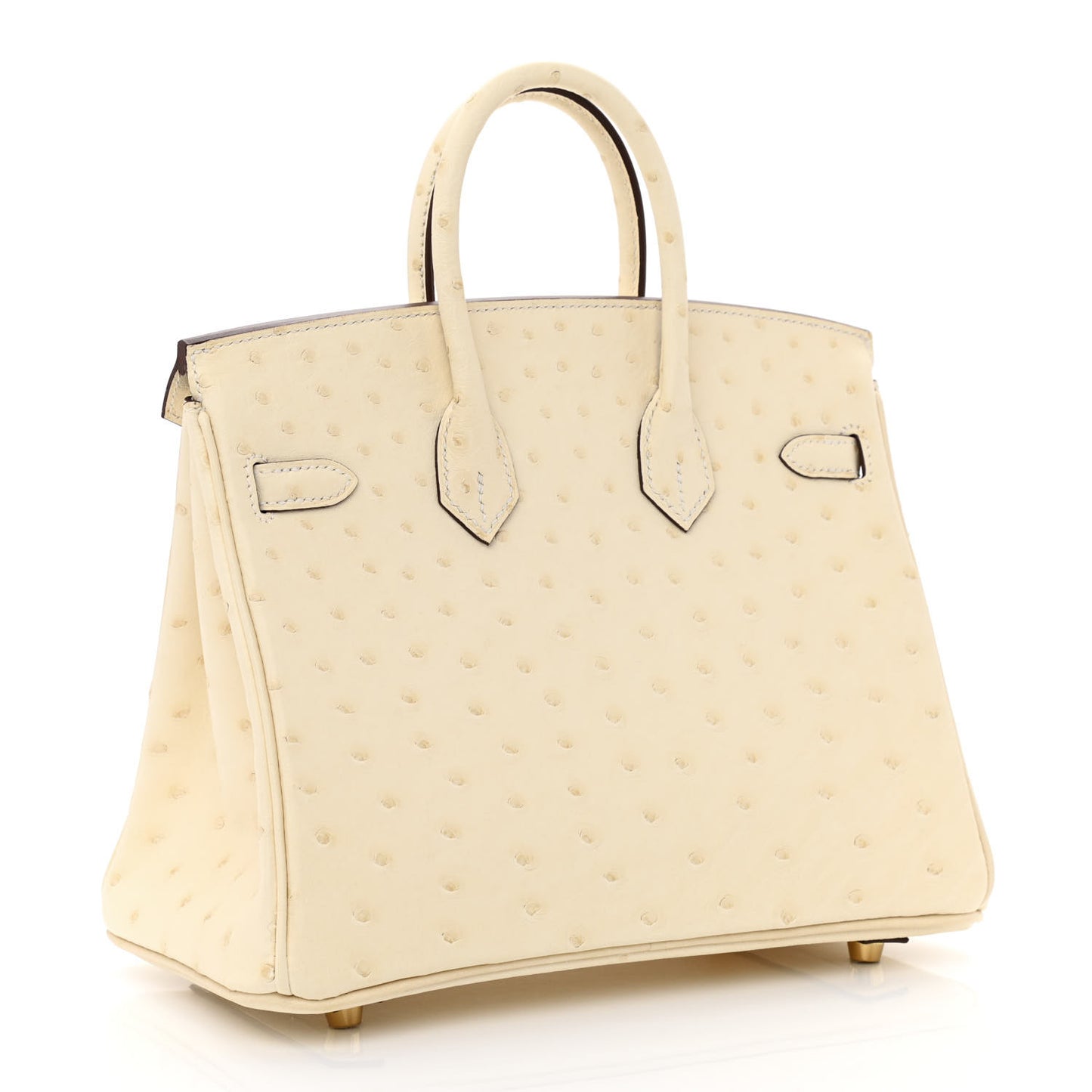 Ostrich Birkin 25 Nata
