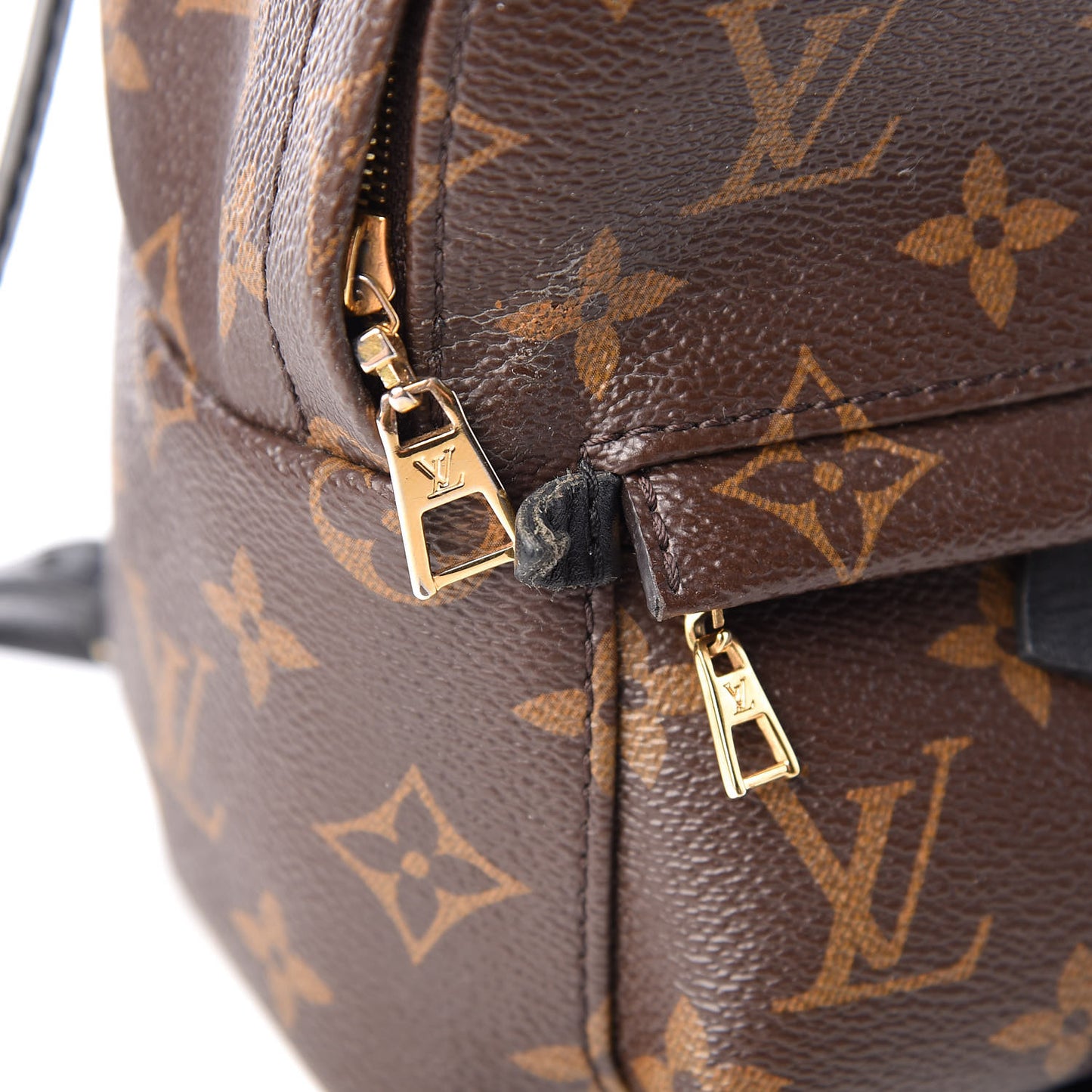 Monogram Palm Springs Backpack Mini