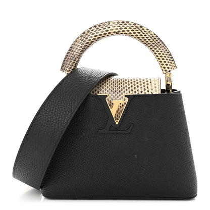 Louis Vuitton Taurillon Ayers Mini Capucines Black 1 of 12