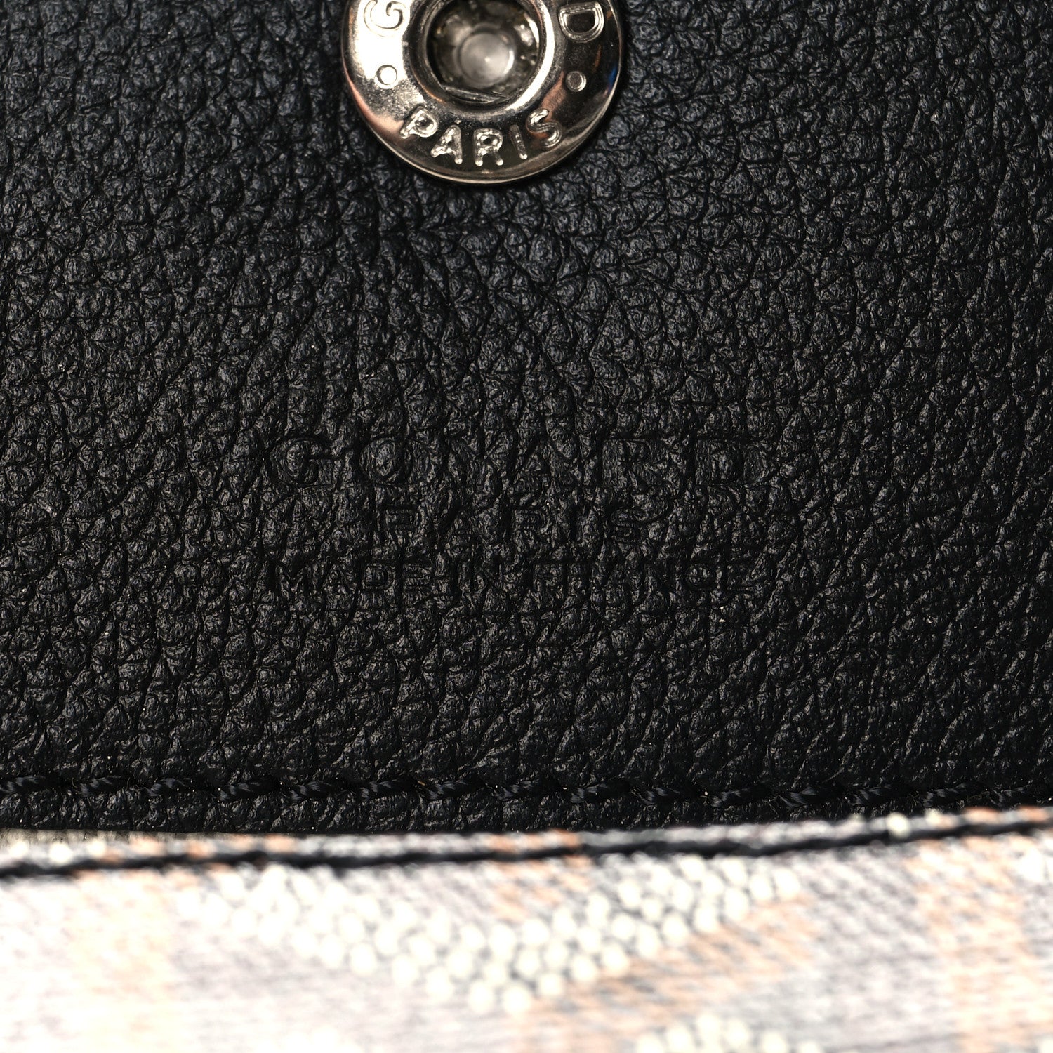 Goyard Goyardine Saint Louis PM Black 7 of 10