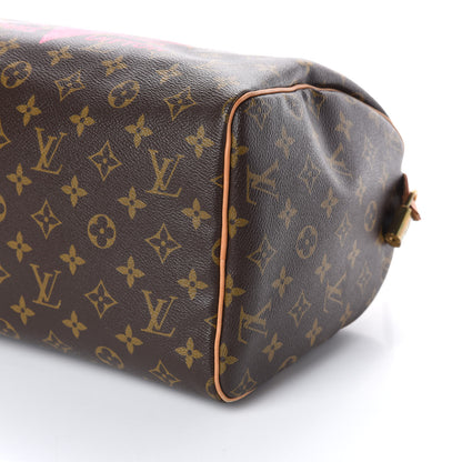 Louis Vuitton Monogram Speedy 30 V Grenade 8 of 9