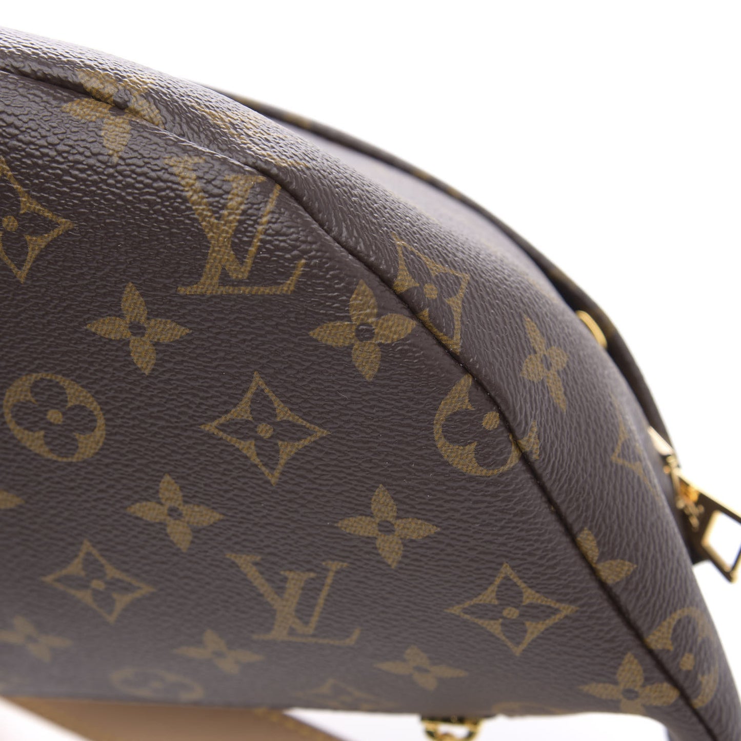 Monogram Bumbag