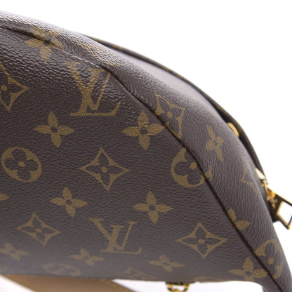 Louis Vuitton Monogram Bumbag 8 of 9
