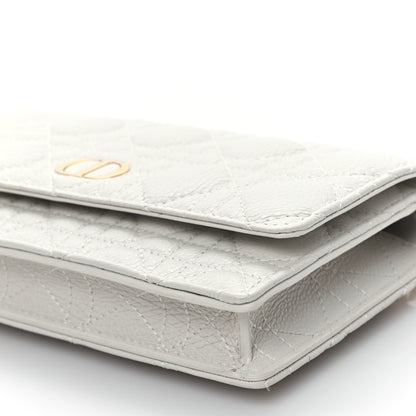 Christian Dior Supple Calfskin Caro Pouch with Chain Latte 9 of 10