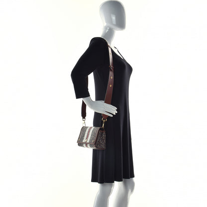 Burberry E-Canvas Monogram Stripe Hackberry Crossbody Bag Bridle Brown 2 of 10