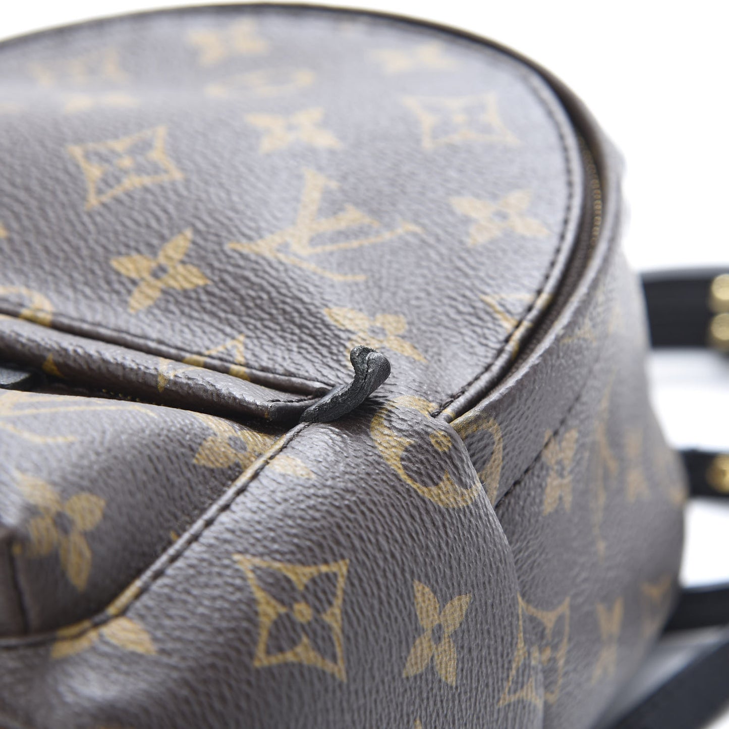 Monogram Palm Springs Backpack Mini