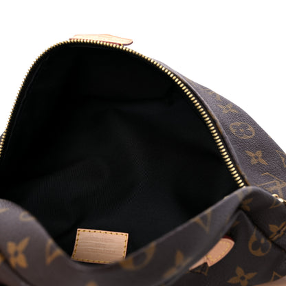 Louis Vuitton Monogram Bumbag 5 of 13
