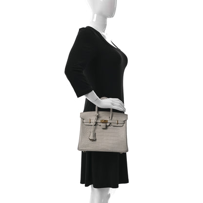 Hermes Matte Alligator Birkin 25 Beton 2 of 10