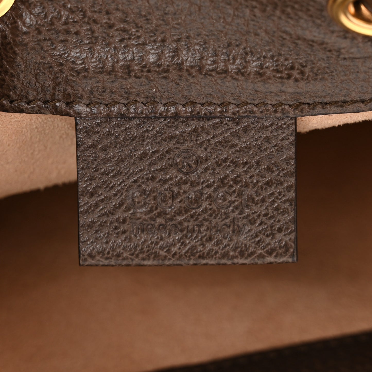 GG Supreme Monogram Web Mini Ophidia Bucket Bag Brown