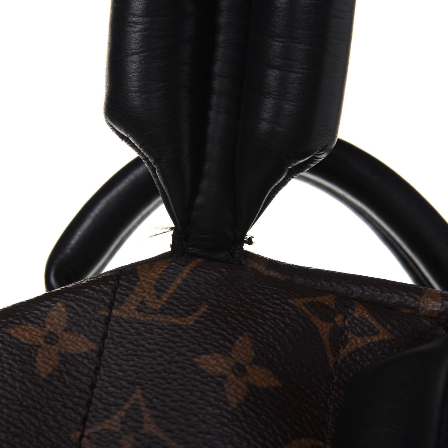 Monogram Palm Springs Backpack MM
