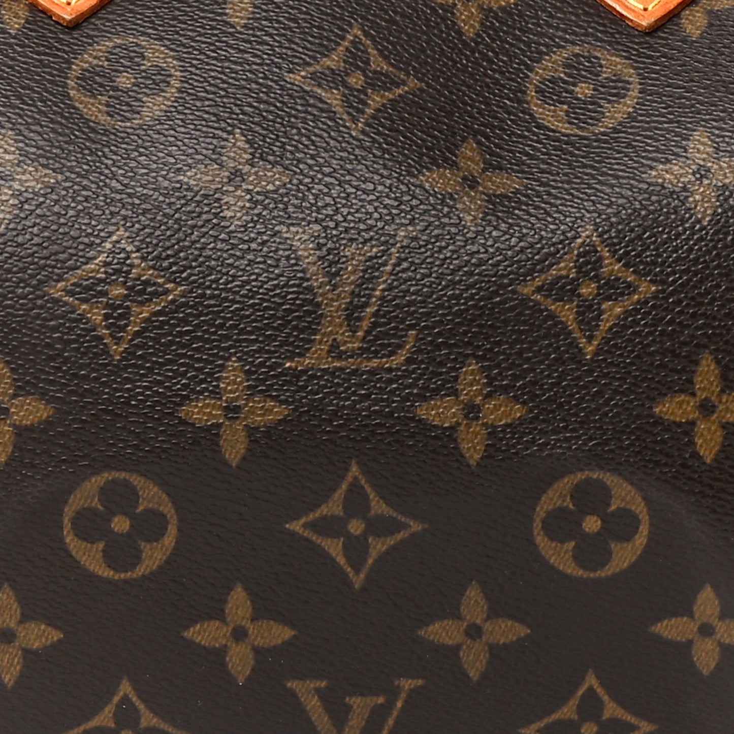 Monogram Speedy 25