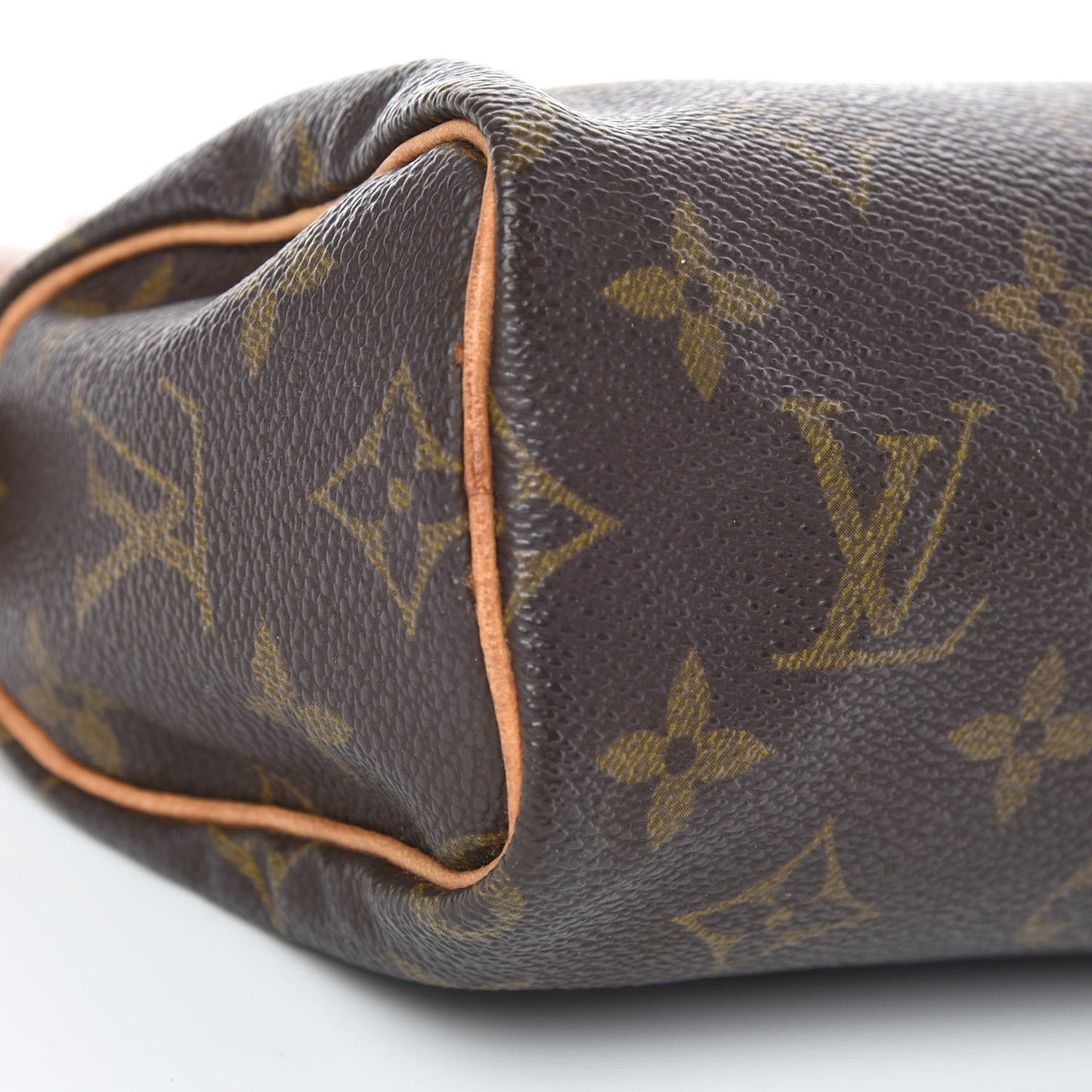 Monogram Mini Sac HL Speedy