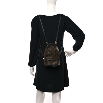 Louis Vuitton Monogram Palm Springs Backpack Mini 2 of 10