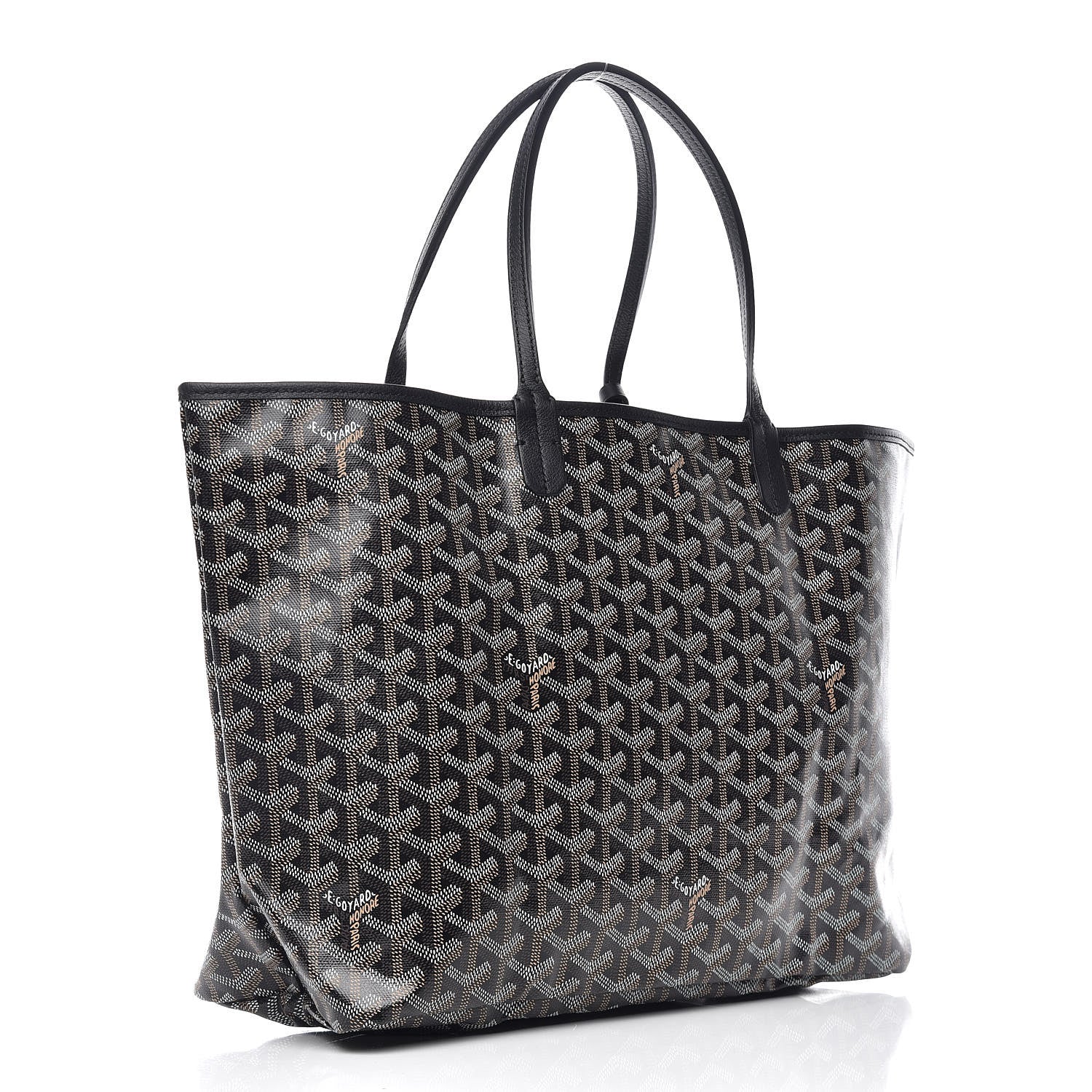 Goyard Goyardine Saint Louis PM Black 4 of 11