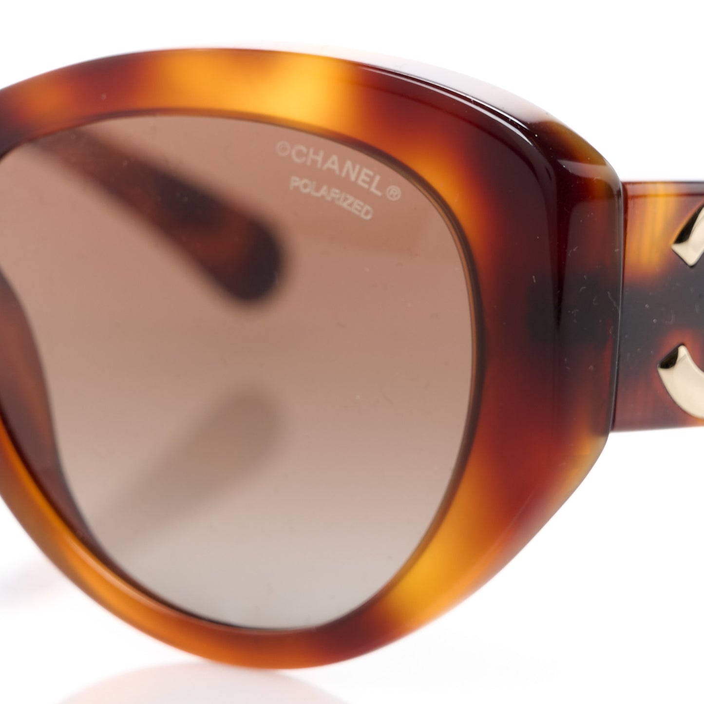 Acetate Polarized Butterfly Large CC Sunglasses 5492-A Tortoise