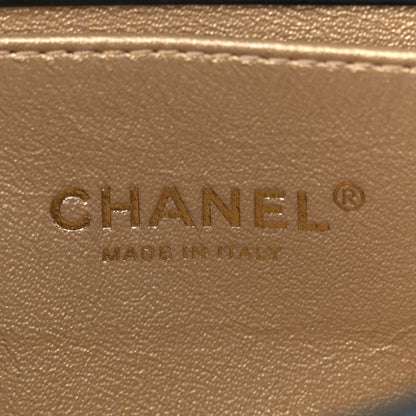 Chanel Crocodile Python Calfskin Embossed Small Boy Flap Black Gold 6 of 12