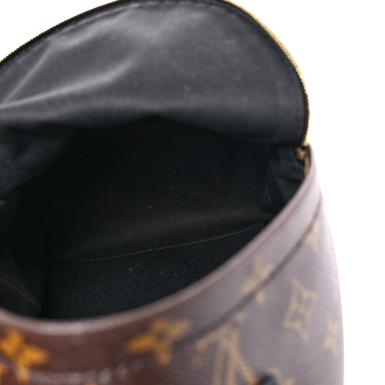 Louis Vuitton Monogram Palm Springs Backpack Mini 5 of 16