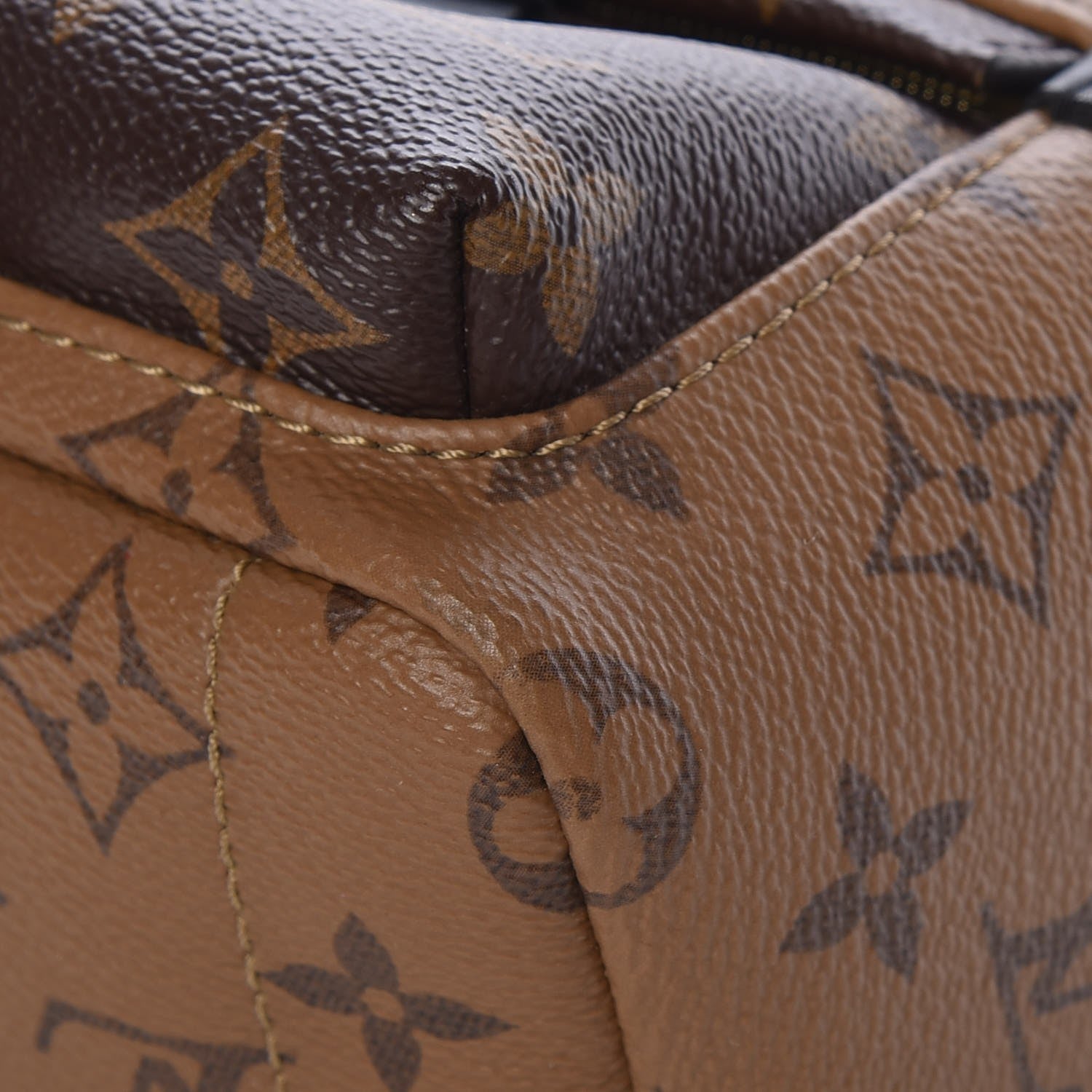 Louis Vuitton Reverse Monogram Palm Springs Backpack Mini 10 of 13