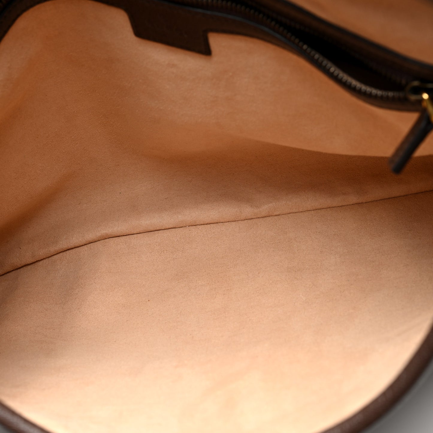 Goatskin Medium Aphrodite Shoulder Bag New Acero