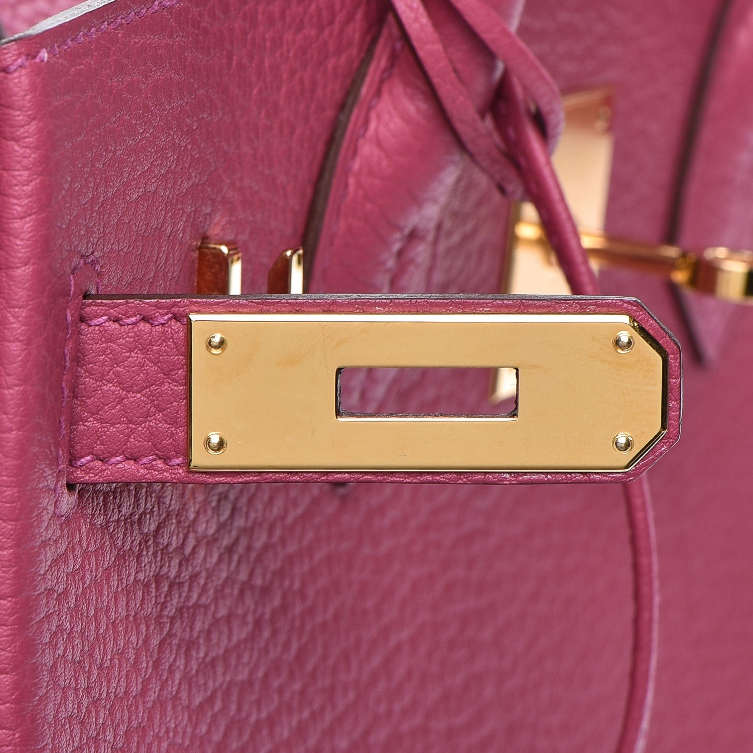 Hermes Fjord Birkin 30 Tosca 10 of 32