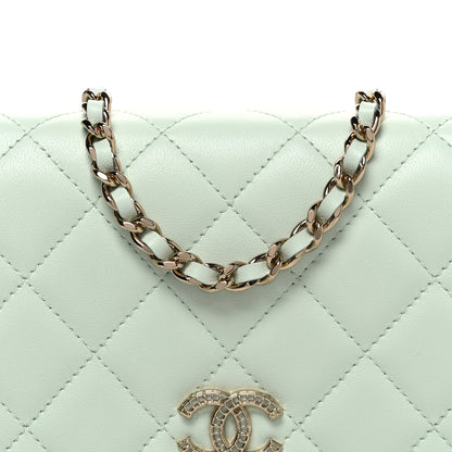 Chanel Lambskin Quilted Textured CC Wallet On Chain WOC Light Green 8 of 11