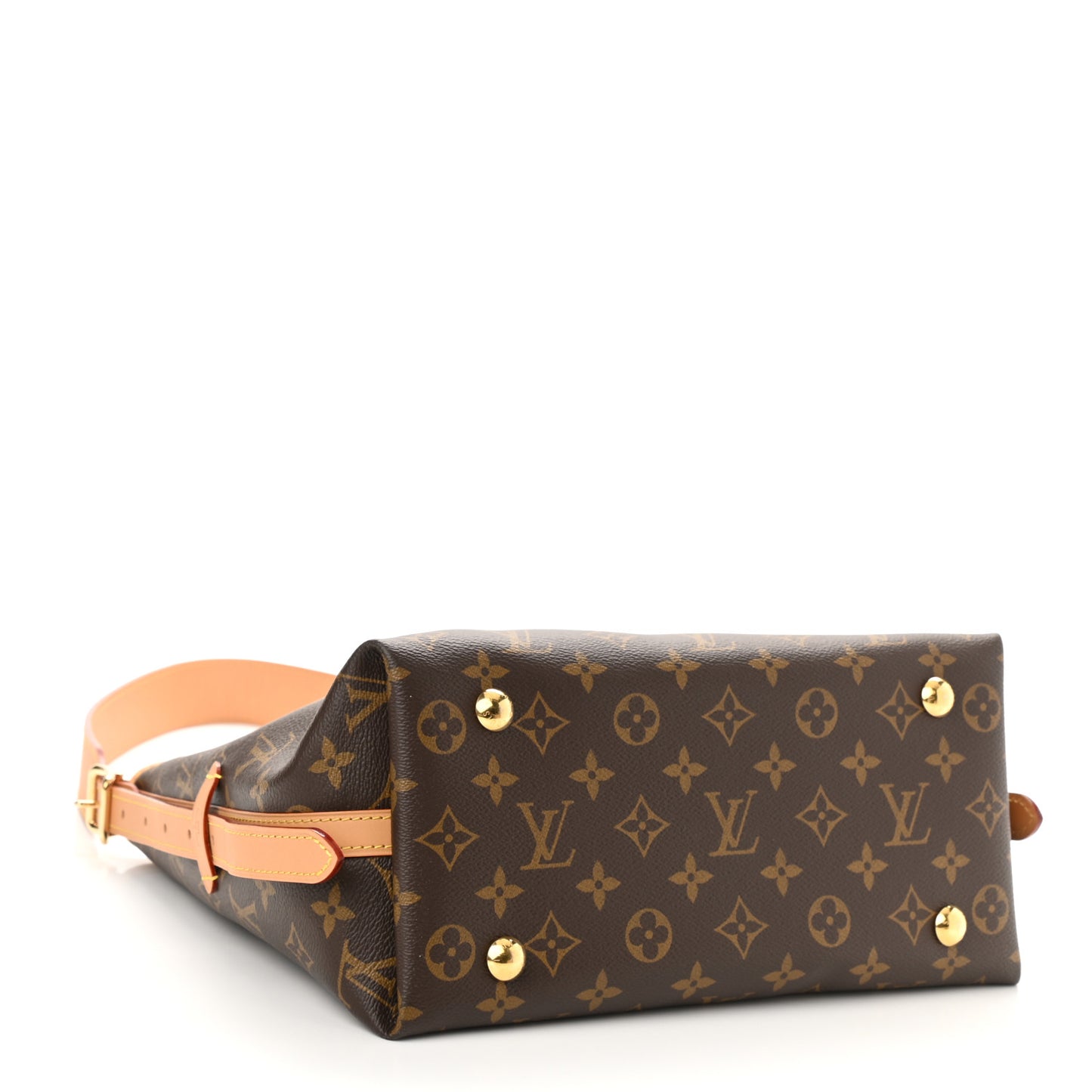 Monogram CarryAll PM