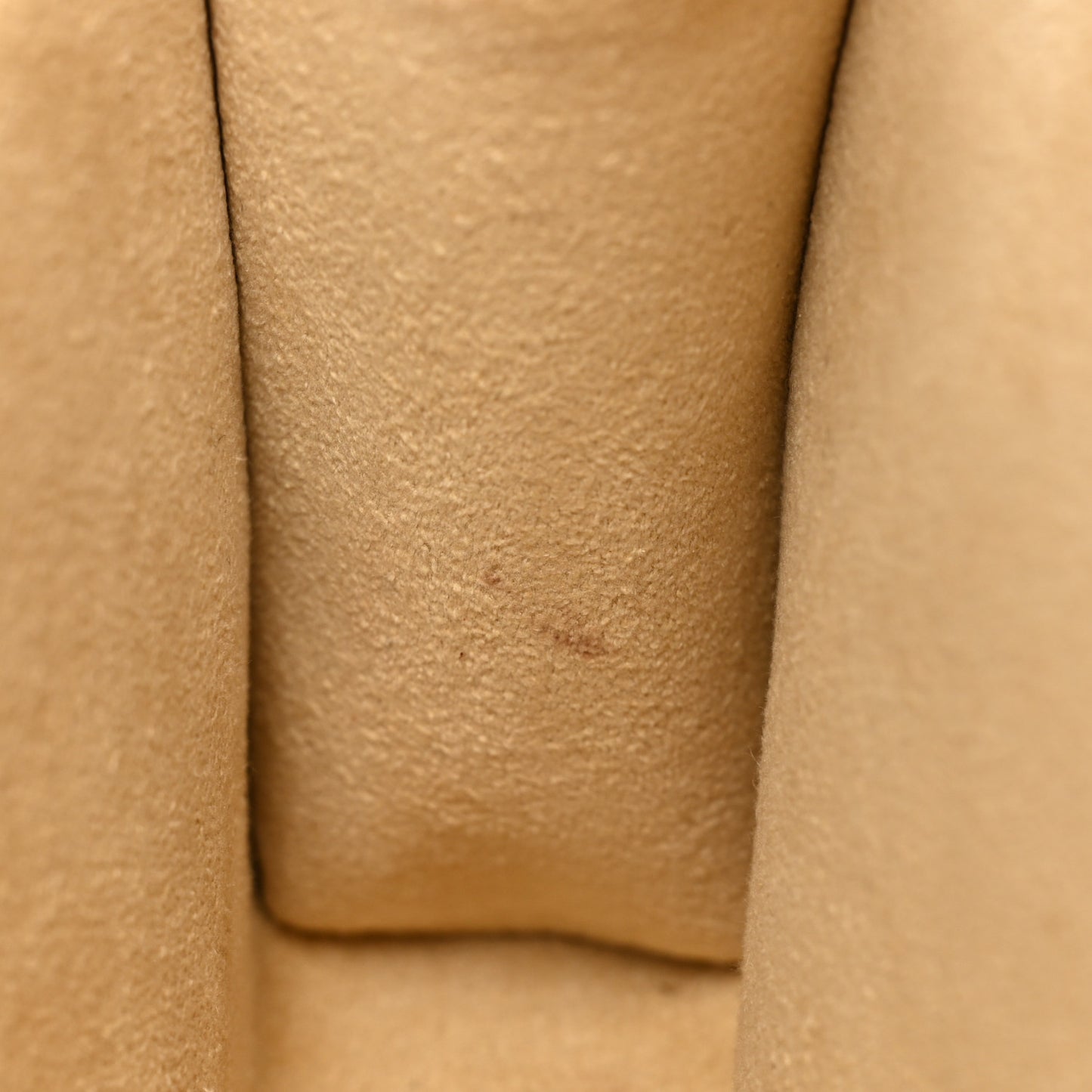 Monogram Pochette Florentine XS