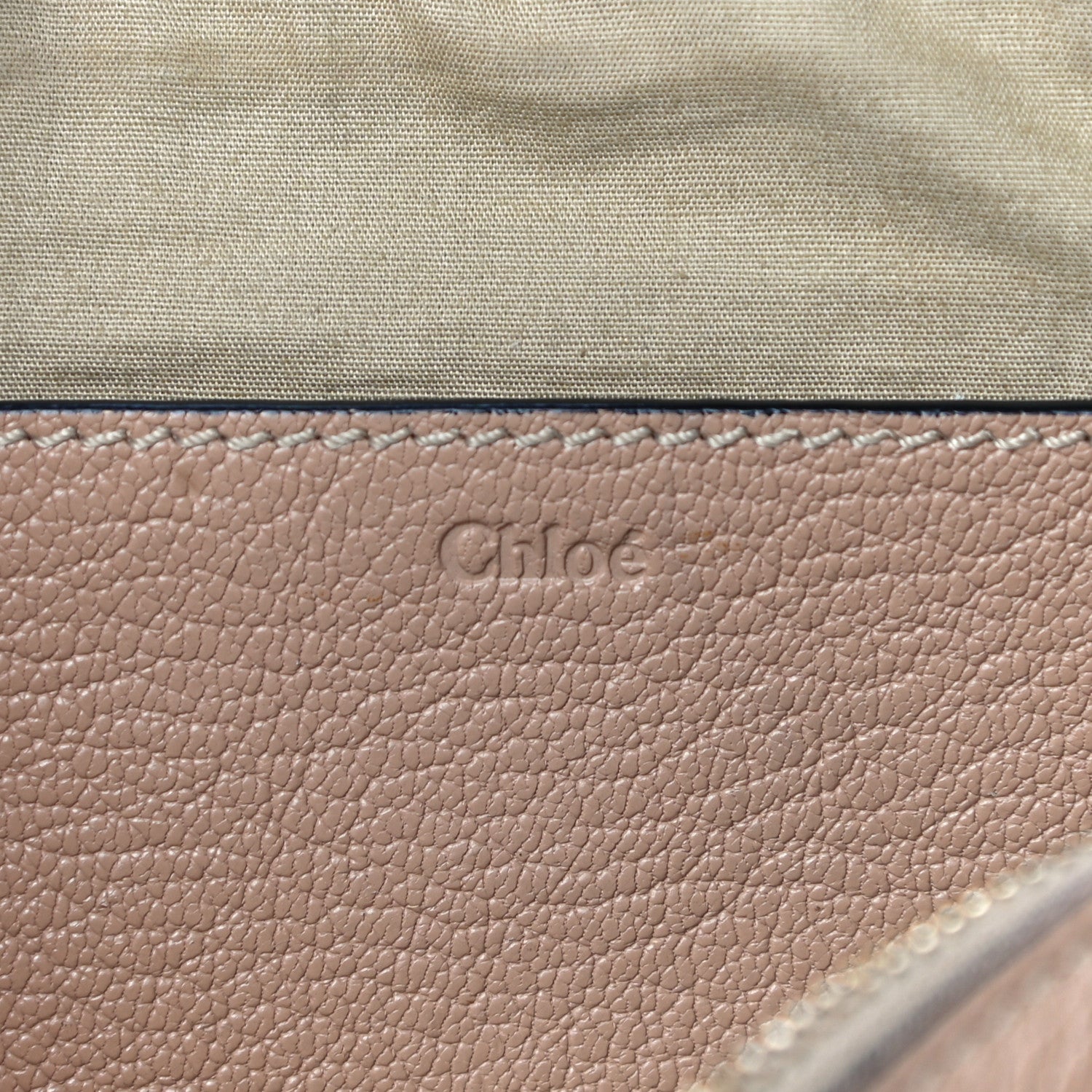 Chloe Calfskin Mini Elsie Crossbody Bag Blush 5 of 20