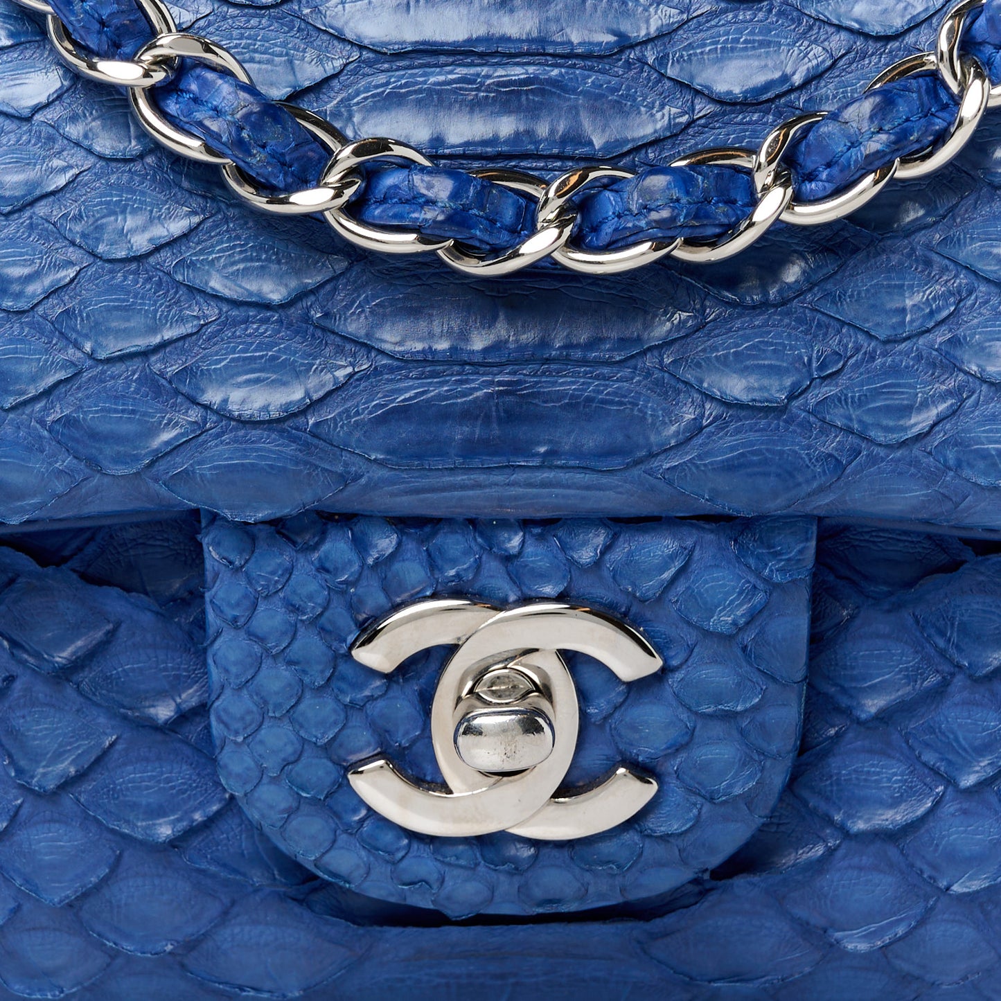 Snakeskin Mini Rectangular Flap Blue