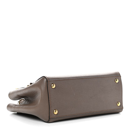 Fendi Vitello Elite Flamingo Petite 2Jours Tote Seppia 4 of 11