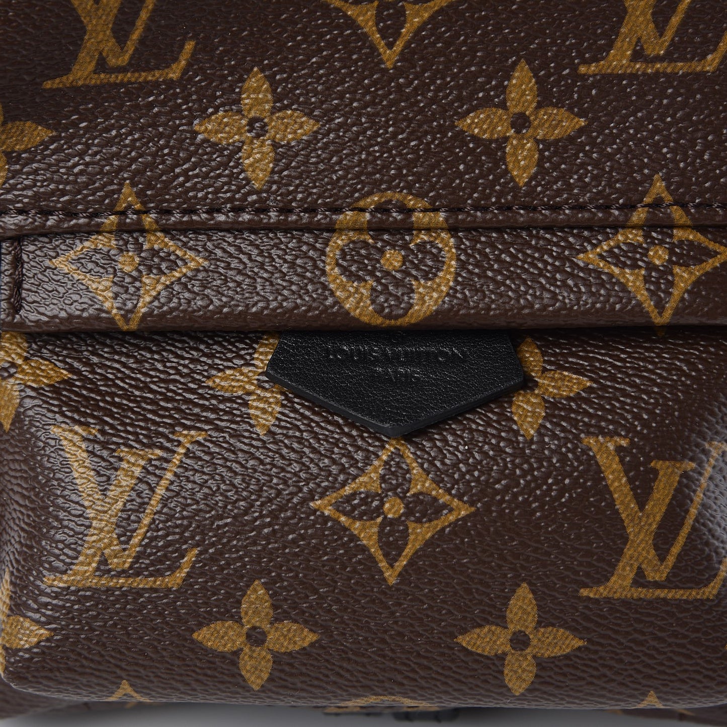Monogram Palm Springs Backpack Mini