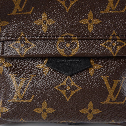Louis Vuitton Monogram Palm Springs Backpack Mini 8 of 9